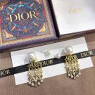 Dior Antique Pearl Large Earring-4
