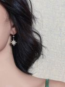 Long star and crescent earring-3