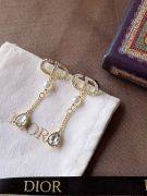 Dior Loulou long earring-2