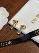 Dior Star & CD Earring-2