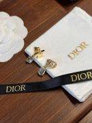 Dior Star & CD Earring-3