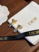 Dior Star & CD Earring-4