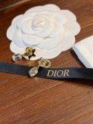 Dior Star & CD Earring-5