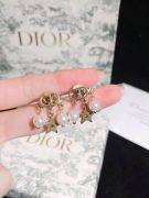 Dior Antique Lulu earring-4
