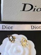 Dior metal gold earring-3