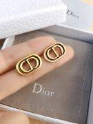 Dior CD Antique earring-4