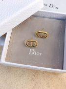 Dior CD Antique earring-7