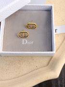 Dior CD Antique earring-8