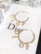 Large round dior earring-4