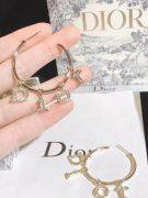Large round dior earring-5