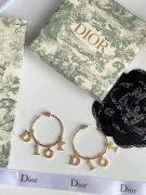 Large round dior earring-9