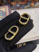 Dior CD Antique Crystal Earring-1