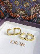 Dior CD Antique Crystal Earring-5