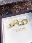 Dior CD Antique Crystal Earring-8