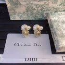 Dior J'adore Antique Earring-4