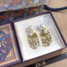 Dior Antique Pearl Large Earring-7