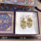 Dior Antique Pearl Large Earring-6