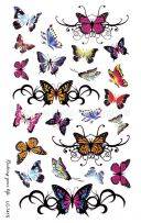 Tatoo big butterflies-2