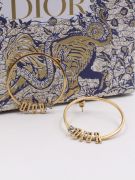 Dior large antique bronze earring-2