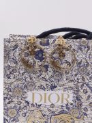 Dior large antique bronze crystal earring-1