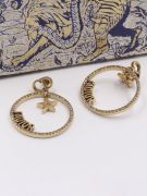 Dior large antique bronze crystal earring-2