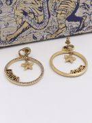 Dior large antique bronze crystal earring-3
