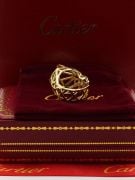 Large Cartier Tiger ring-9