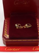 Cartier Tiger Small Zircon Earring-8