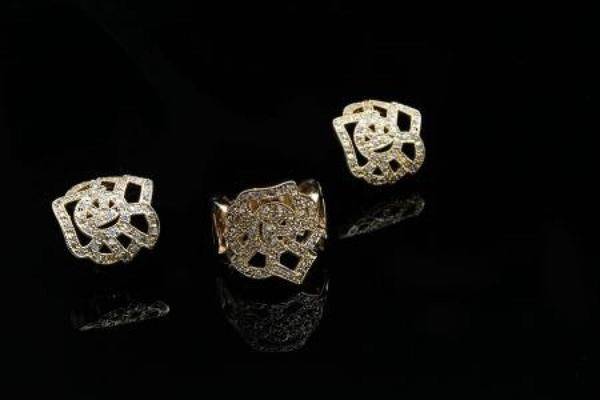 Floral zircon earrings